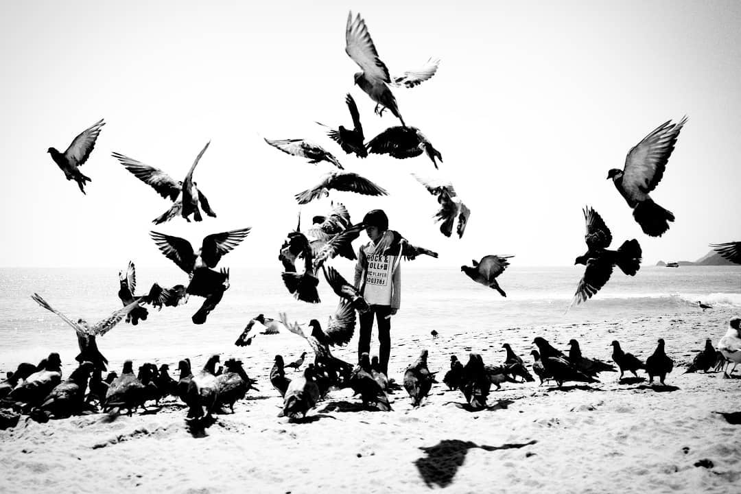 A person surrounded by pigeons at a waterfront